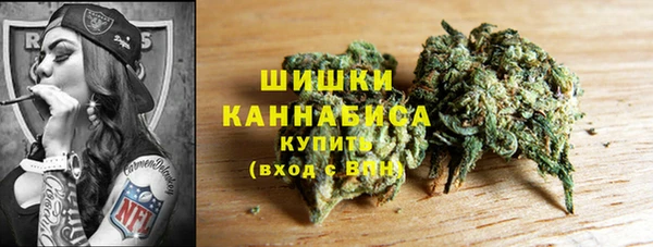 эйфоретик Пересвет