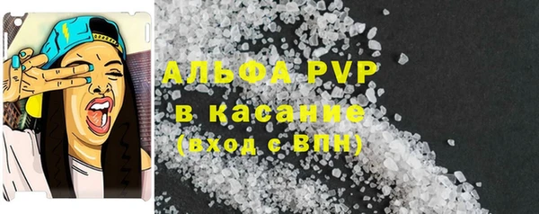 эйфоретик Пересвет